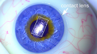 Science Makes a Circuit So Thin, It Can Sit On a Contact Lens